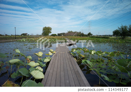 Walking around Tone Town 114349177