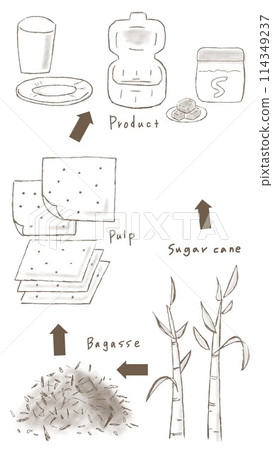甘蔗渣(壓榨甘蔗)的手繪插圖,直到它成為紙盤、紙杯和午餐盒的容器 甘蔗渣(壓榨甘蔗)的手繪插圖,直到它成為紙盤、紙杯和午餐盒的容器 114349237