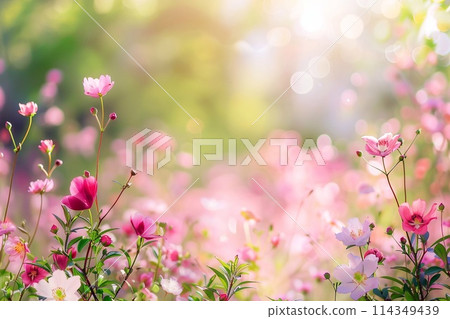 Beautiful pink flowers in the garden, selective focus, nature background 114349439
