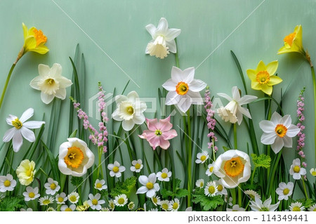 Spring flowers background. Daffodils, narcissus and lily of the valley 114349441