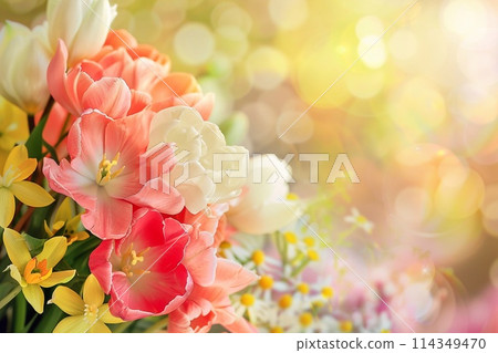 Bouquet of tulips and chamomile flowers on bokeh background 114349470
