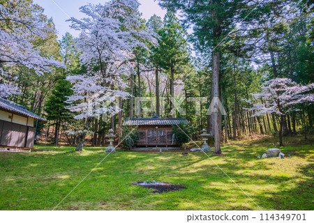 四大神社的主要建築和櫻花【北安地區池田町】 四大神社的主要建築和櫻花【北安地區池田町】 114349701