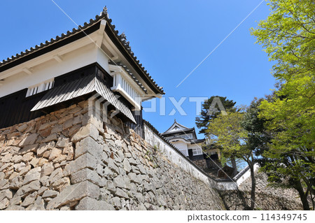 Binaka Matsuyama Castle Tenshi Binaka Matsuyama Castle Tenshi 114349745