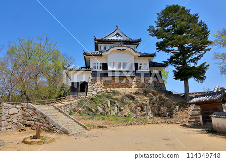 Binaka Matsuyama Castle Tenshi 114349748