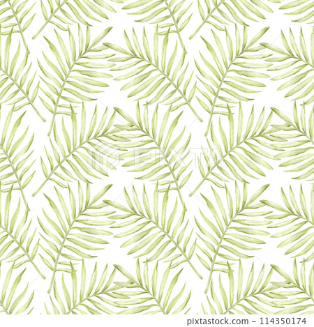 Hand drawn watercolor green monochrome palm tree leaves seamless pattern isolated on white background. Can be used for textile, fabric and other printed products. 114350174