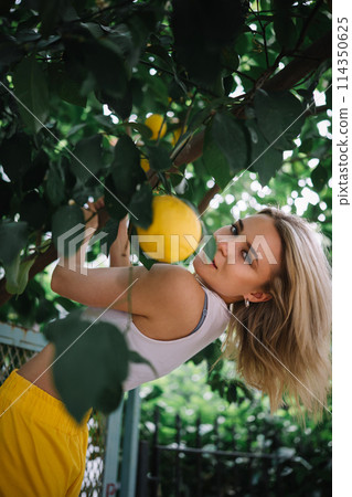 Outdoor portrait of beautiful young woman posing near lemon tree 114350625