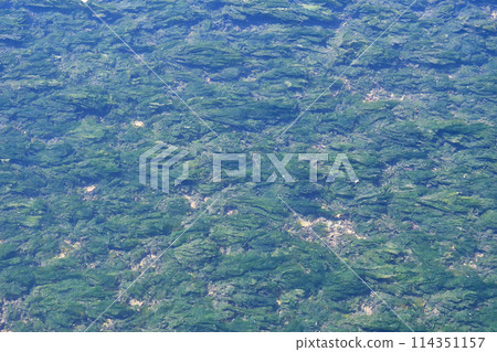 八津灘塗水面(千葉縣習志野市) 八津灘塗水面(千葉縣習志野市) 114351157