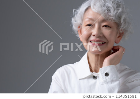 Gray-haired woman portrait Gray-haired woman portrait 114351581