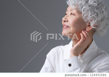 Gray-haired woman portrait Gray-haired woman portrait 114351583