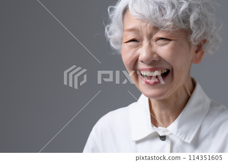 Gray-haired woman portrait 114351605