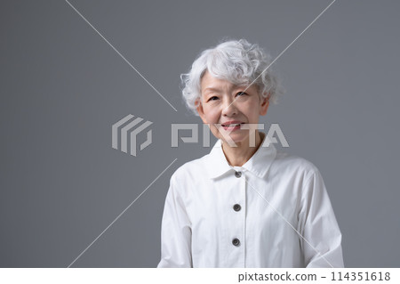 Gray-haired woman portrait Gray-haired woman portrait 114351618