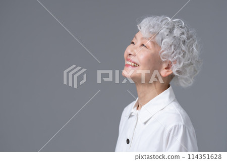 灰色頭髮的女人肖像 114351628