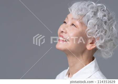 灰色頭髮的女人肖像 114351629