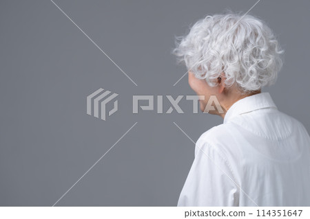 灰色頭髮的女人肖像 114351647