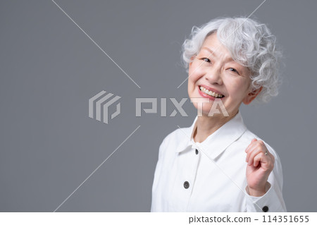 灰色頭髮的女人肖像 114351655