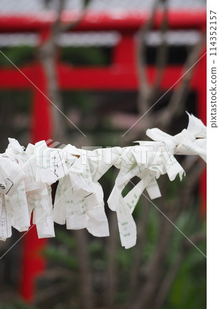 Omikuji 綁 Omikuji 綁 114352157