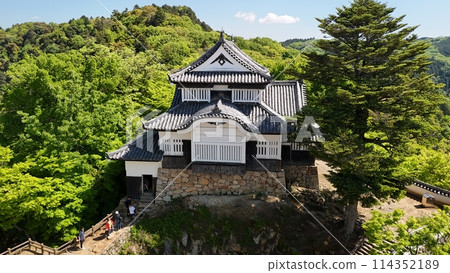 天空中的山城【備中松山城】無人機航拍_BTM_No12 114352189