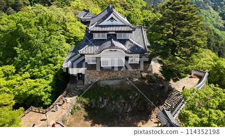 Castle in the sky [Bicchu Matsuyama Castle] Drone aerial photography_BTM_No16 114352198