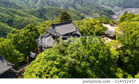 Castle in the sky [Bicchu Matsuyama Castle] Drone aerial photography_BTM_No33 114352437