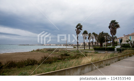 view of palm trees with wind in border the sea on cloudy sky background in Gruissan in France 114353540