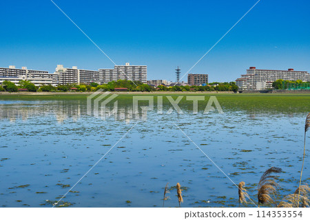 Yatsu tidal flat (Narashino City, Chiba Prefecture) Yatsu tidal flat (Narashino City, Chiba Prefecture) 114353554
