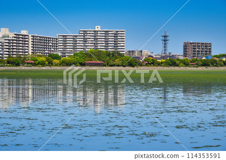 Yatsu tidal flat (Narashino City, Chiba Prefecture) 114353591