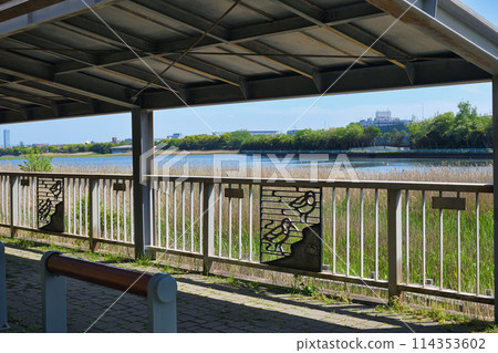 Yatsu tidal flat (Narashino City, Chiba Prefecture) 114353602