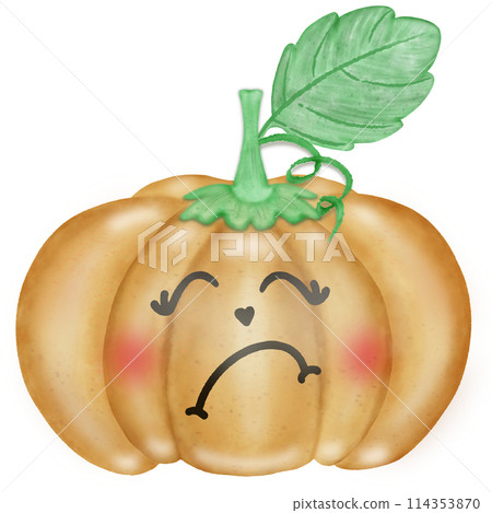 Vegetable characters  cartoon   with eyes. Cute funny characters. Cartoon style. Hand drawn colored  illustration. All elements are isolated. 114353870