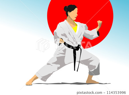 Oriental combat sports. Karate. Colored 3d vector illustration. 114353996