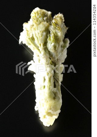 黑色背景下拍攝的鱈魚芽天婦羅 黑色背景下拍攝的鱈魚芽天婦羅 114354284