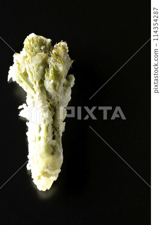 Aralia buds tempura photographed against a black background 114354287