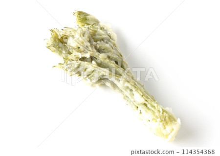 白色背景下拍攝的鱈魚芽天婦羅 114354368