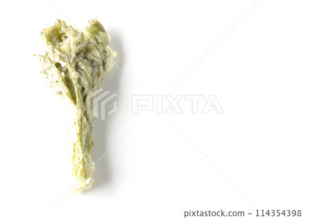白色背景下拍攝的鱈魚芽天婦羅 白色背景下拍攝的鱈魚芽天婦羅 114354398