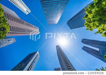 Tokyo cityscape in Japan: View of the skyscrapers and sunlight of Shinjuku Subcenter, Tokyo Metropolitan Government Building, etc. 114354529