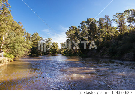 Warrandyte River Reserve in Melbourne Australia Warrandyte River Reserve in Melbourne Australia 114354629