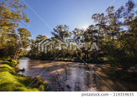 Warrandyte River Reserve in Melbourne Australia Warrandyte River Reserve in Melbourne Australia 114354635