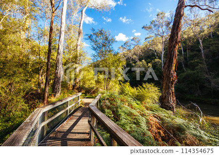 Pound Bend Reserve in Melbourne Australia Pound Bend Reserve in Melbourne Australia 114354675