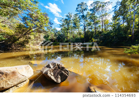 Warrandyte River Reserve in Melbourne Australia 114354693