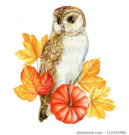 Owl isolated watercolor painting illustration, autumn flora background, orange pumpkin, yellow dry leaves, forest bird 114354966