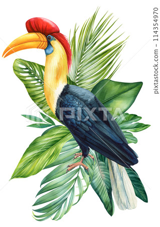 rhinoceros bird, toucan with palm leaves on isolated background, watercolor illustration, Hand drawn bird parrot, plant 114354970