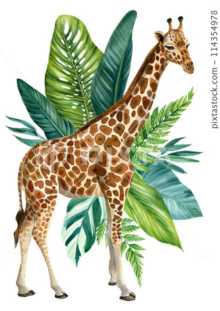Giraffe, Animals in tropical forest, jungle palm leaves, African Wild animal world, Watercolor giraffe, Green palm trees Giraffe, Animals in tropical forest, jungle palm leaves, African Wild animal world, Watercolor giraffe, Green palm trees 114354978