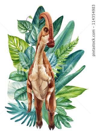 Dinosaur watercolor painting illustration. Jungle, palm leaves elements. Realistic dinosaur isolated white background 114354983