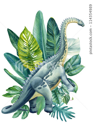 Dinosaur watercolor painting illustration. Jungle, palm leaves elements. Realistic dinosaur isolated white background Dinosaur watercolor painting illustration. Jungle, palm leaves elements. Realistic dinosaur isolated white background 114354989