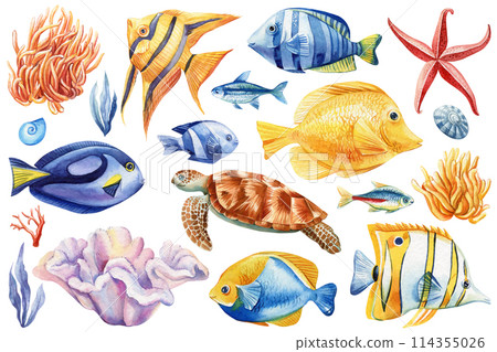 Sea Fish, turtle, starfish, coral and shell. Watercolor Illustration summer set. Hand drawing sea creature, nature ocean 114355026