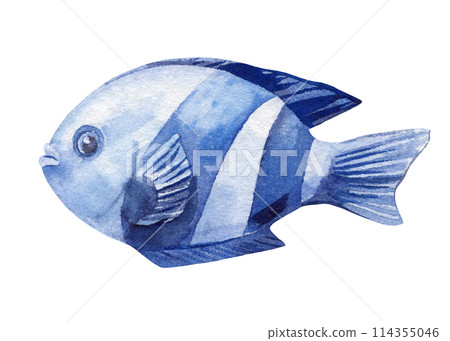 Fish watercolor isolated on a white background. Summer hand drawing painting tropical fish, underwater 114355046