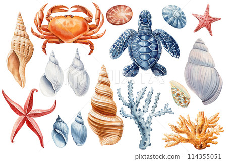 Seashell, starfish, turtle, crab and coral watercolor clipart Beautiful Marine design elements isolated white background 114355051