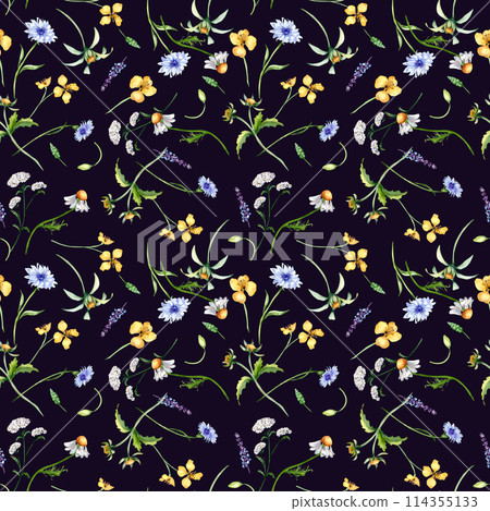Floral seamless pattern with medicinal plants in watercolor isolated on dark background. Yarrow. celandine botanical print in sketch. Bur marigold, cornflower hand drawn. Design for textile, package Floral seamless pattern with medicinal plants in watercolor isolated on dark background. Yarrow. celandine botanical print in sketch. Bur marigold, cornflower hand drawn. Design for textile, package 114355133