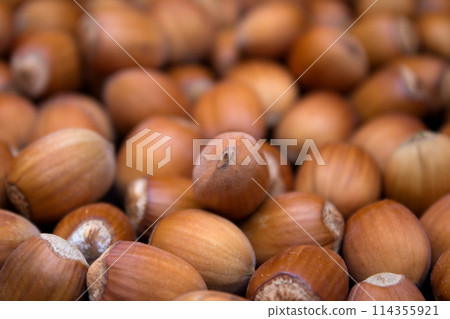 Many peeled hazel nuts - background of nature Many peeled hazel nuts - background of nature 114355921