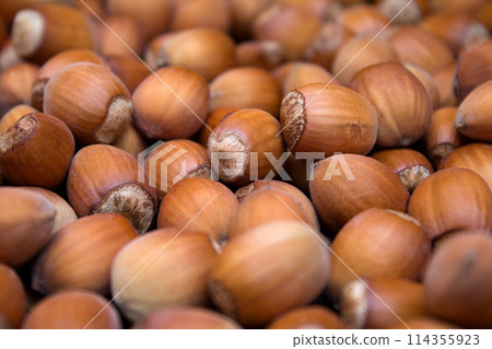 Many peeled hazel nuts - background of nature 114355923