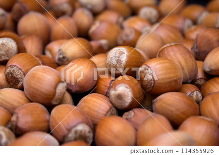 Many peeled hazel nuts - background of nature 114355926